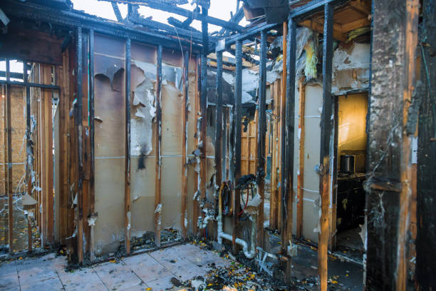 Professional Fire Damage Removal technician working in Golden Hills, CA